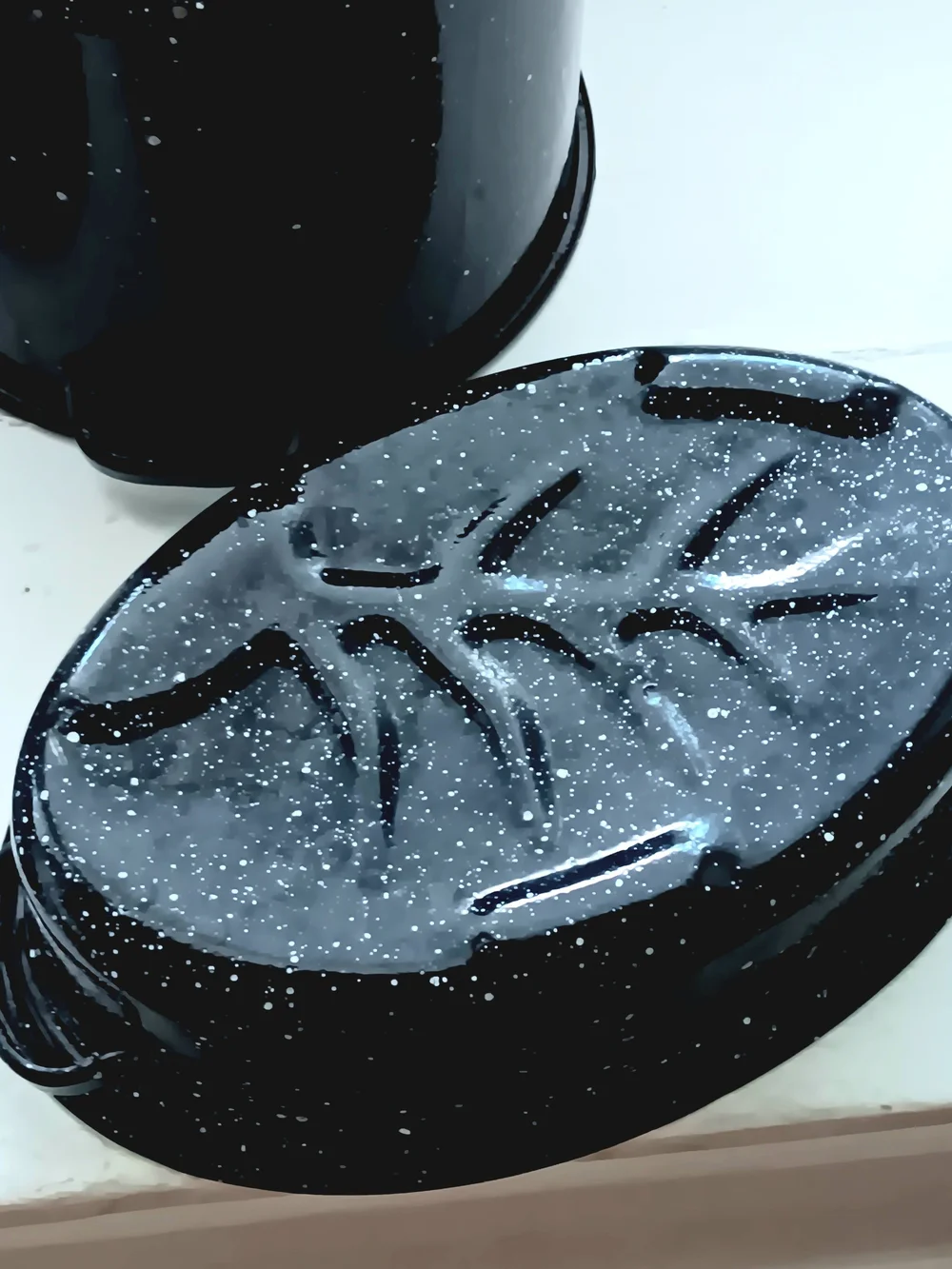 Enamel Speckled Black Stockpot and Roasting Pan Set - Black